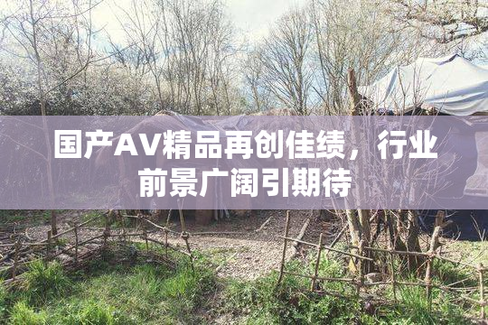 国产AV精品再创佳绩，行业前景广阔引期待