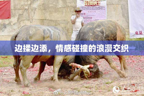 边揉边添，情感碰撞的浪漫交织