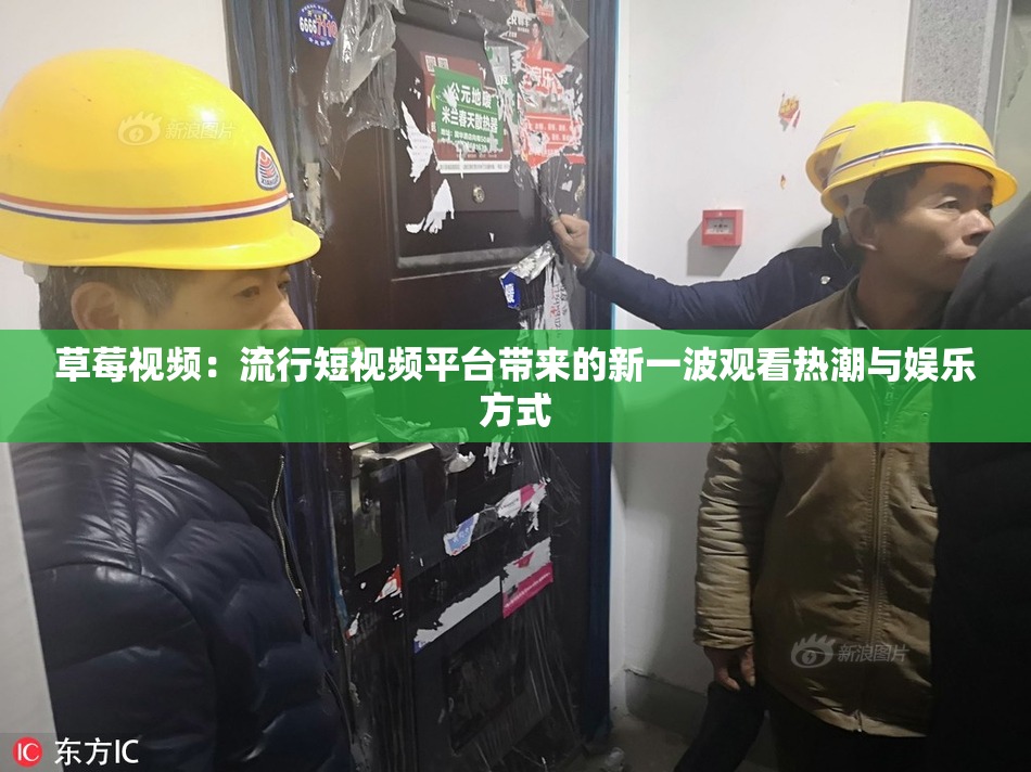 草莓视频：流行短视频平台带来的新一波观看热潮与娱乐方式