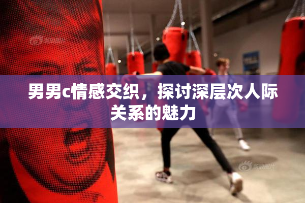 男男c情感交织，探讨深层次人际关系的魅力