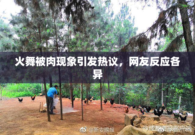 火舞被肉现象引发热议，网友反应各异
