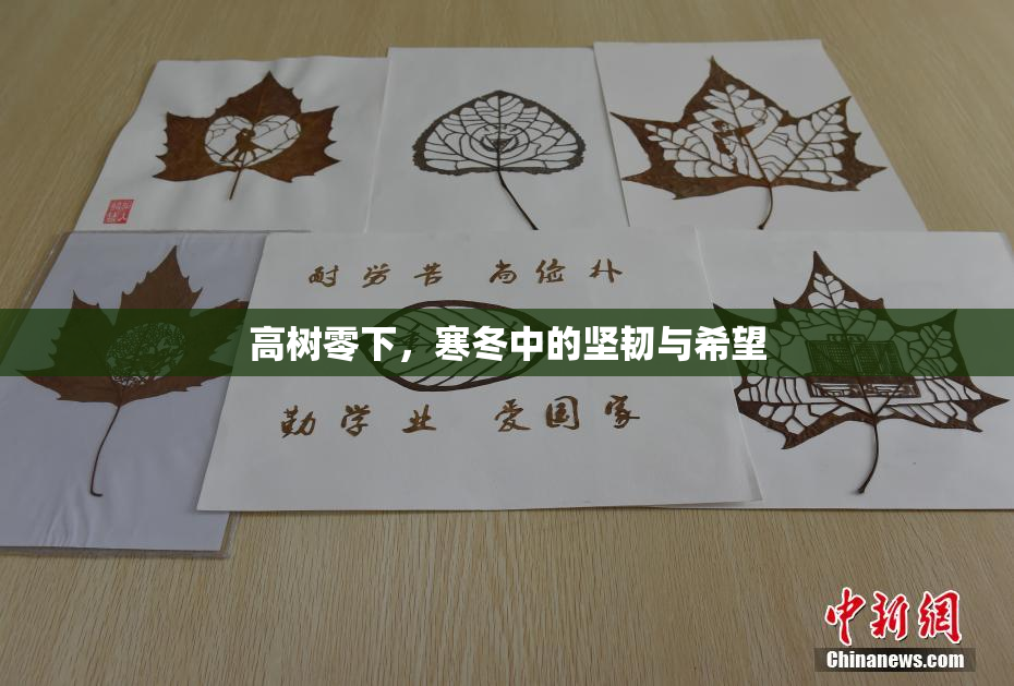 高树零下，寒冬中的坚韧与希望