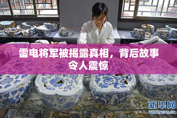 雷电将军被揭露真相，背后故事令人震惊