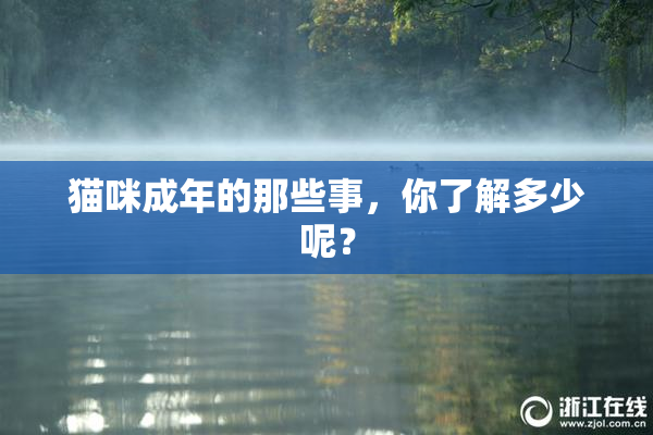 猫咪成年的那些事，你了解多少呢？
