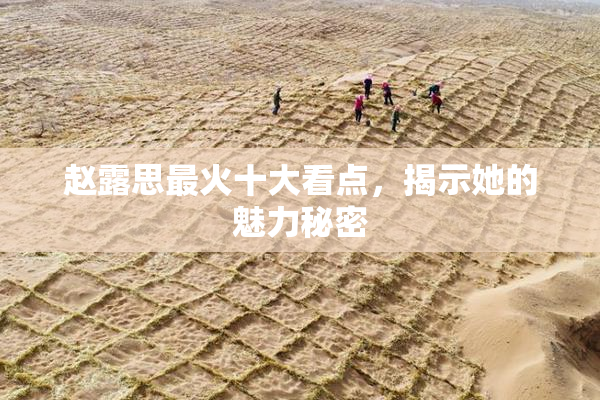 赵露思最火十大看点，揭示她的魅力秘密