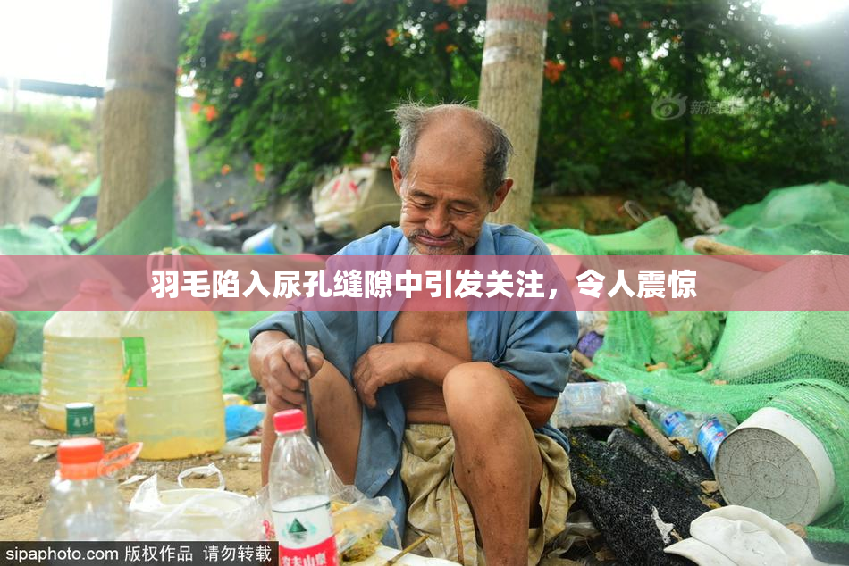 羽毛陷入尿孔缝隙中引发关注，令人震惊