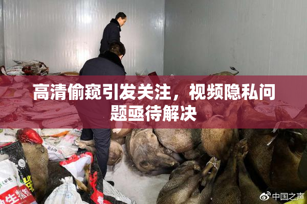 高清偷窥引发关注，视频隐私问题亟待解决