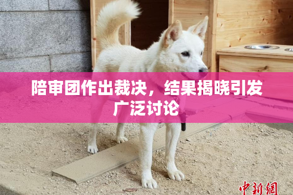 陪审团作出裁决，结果揭晓引发广泛讨论