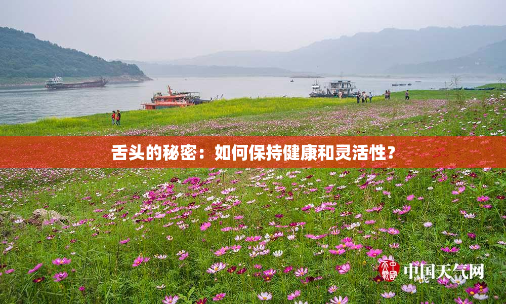 舌头的秘密：如何保持健康和灵活性？