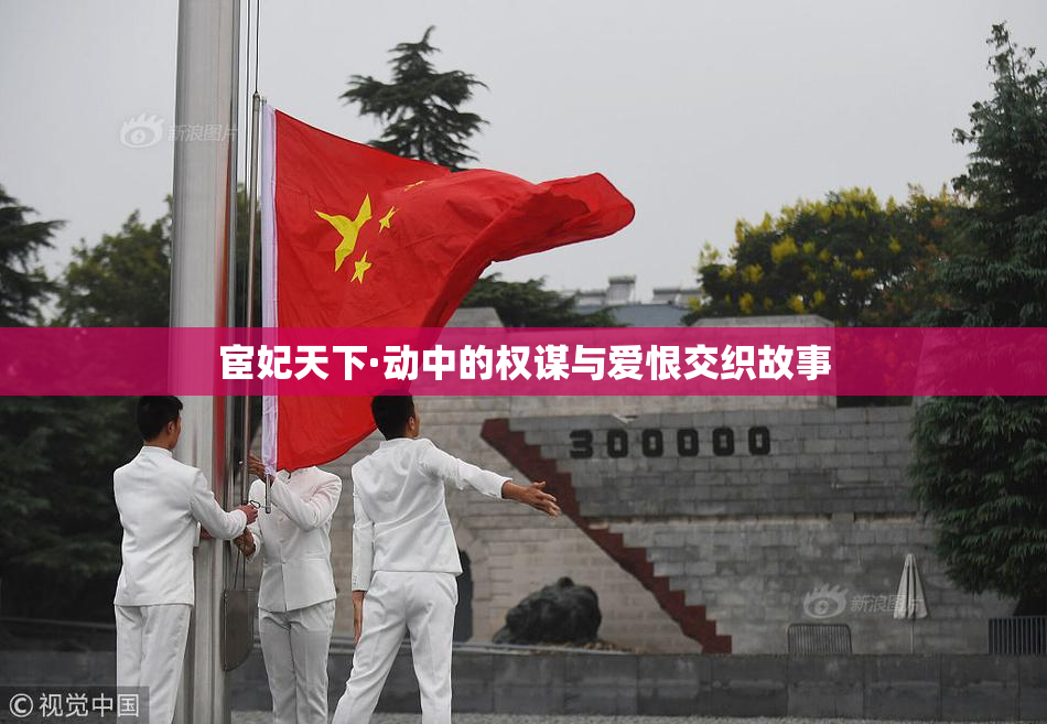 宦妃天下·动中的权谋与爱恨交织故事