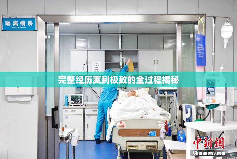 完整经历爽到极致的全过程揭秘