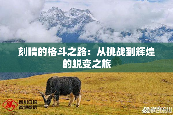 刻晴的格斗之路：从挑战到辉煌的蜕变之旅