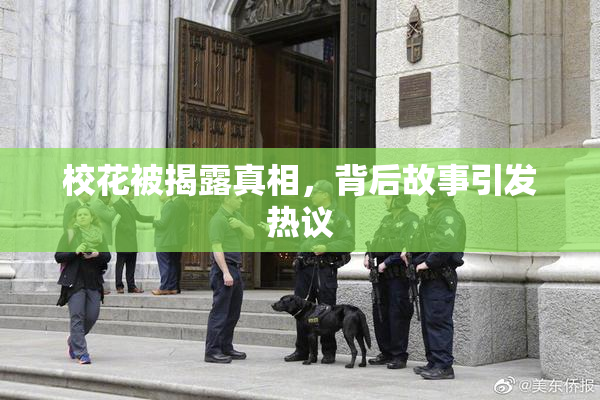 校花被揭露真相，背后故事引发热议