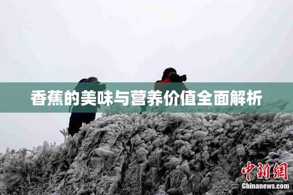 香蕉的美味与营养价值全面解析