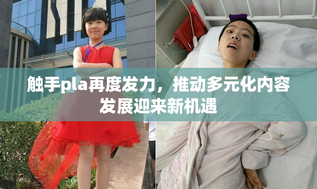 触手pla再度发力，推动多元化内容发展迎来新机遇