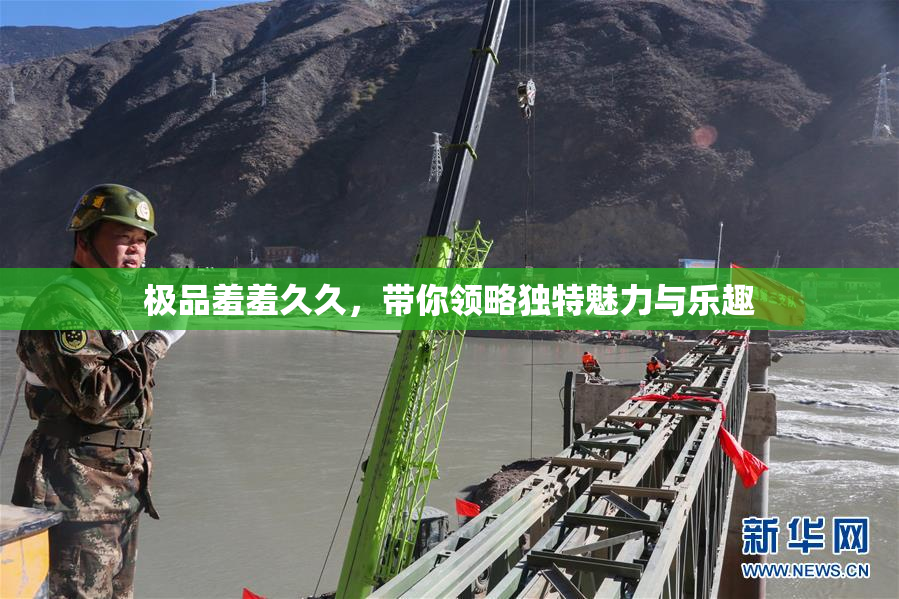 极品羞羞久久，带你领略独特魅力与乐趣