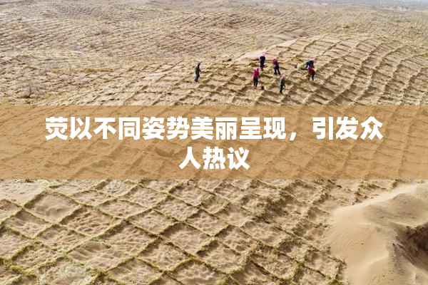 荧以不同姿势美丽呈现，引发众人热议