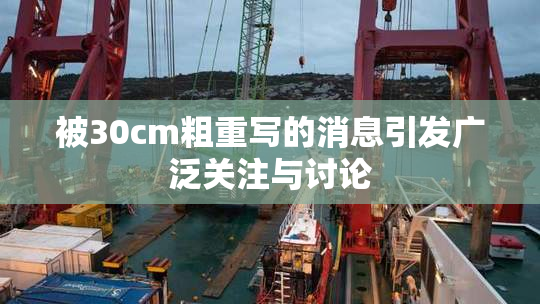 被30cm粗重写的消息引发广泛关注与讨论