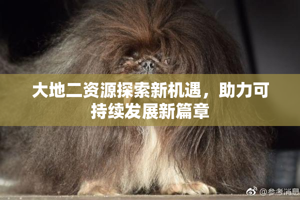 大地二资源探索新机遇，助力可持续发展新篇章