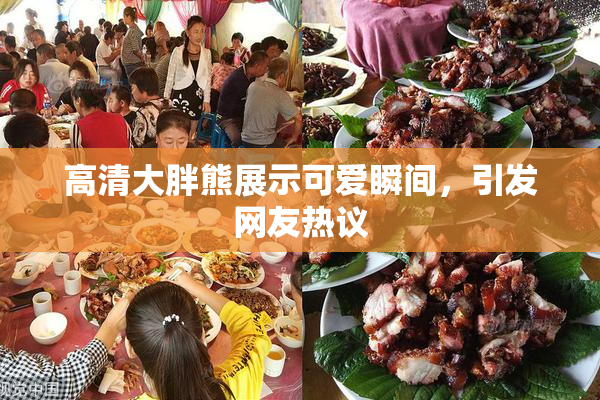 高清大胖熊展示可爱瞬间，引发网友热议