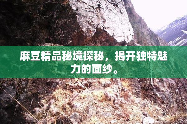 麻豆精品秘境探秘，揭开独特魅力的面纱。
