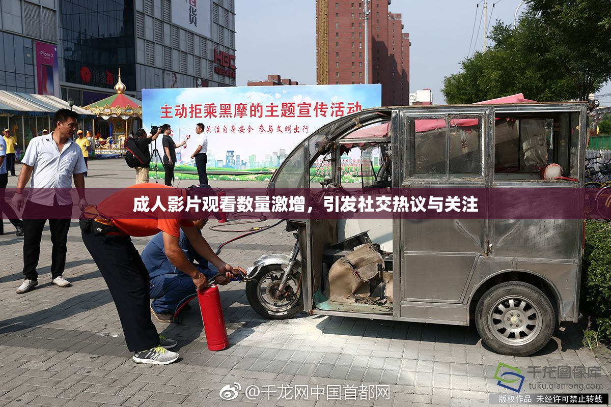 成人影片观看数量激增，引发社交热议与关注