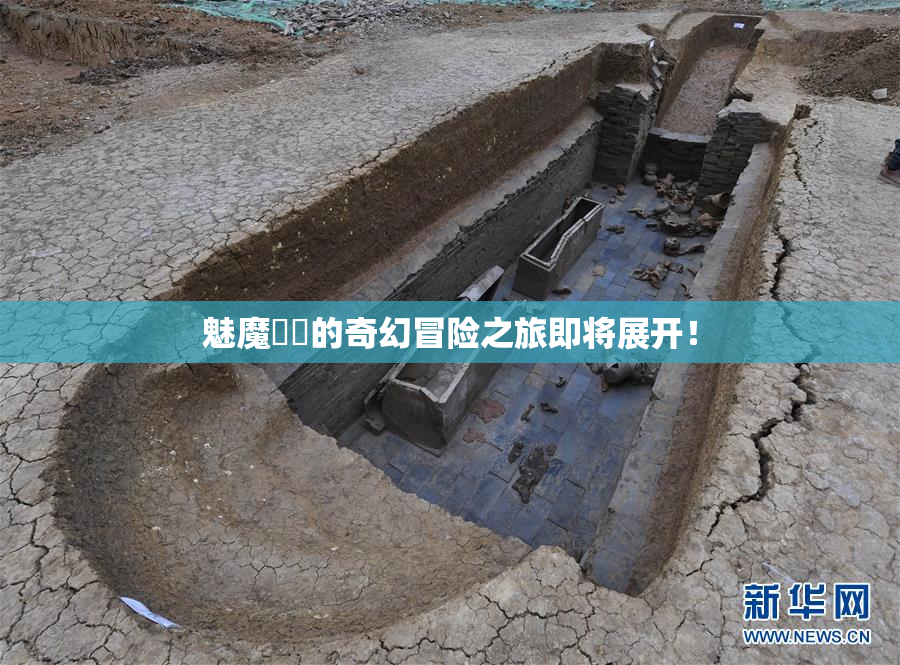 魅魔妺妺的奇幻冒险之旅即将展开！