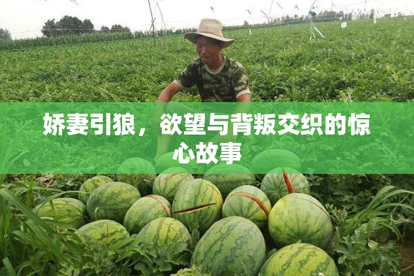 娇妻引狼，欲望与背叛交织的惊心故事