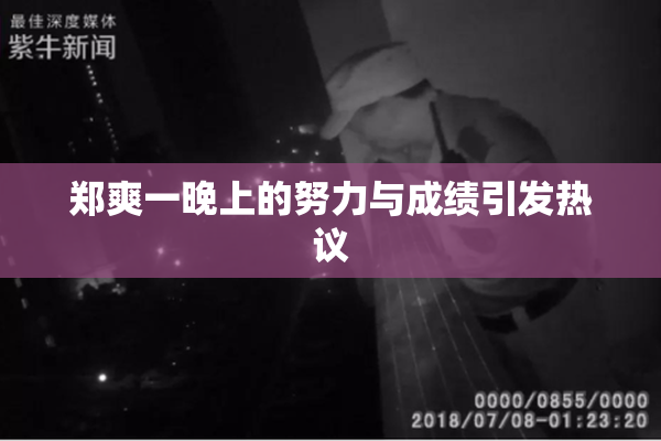 郑爽一晚上的努力与成绩引发热议