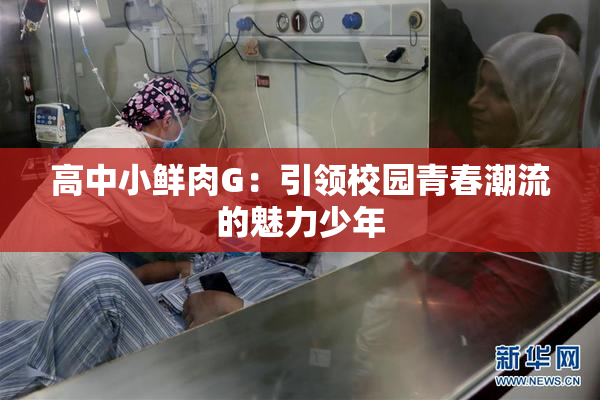 高中小鲜肉G：引领校园青春潮流的魅力少年