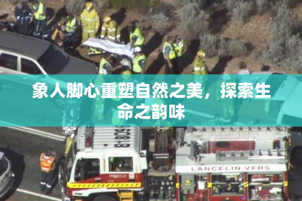 象人脚心重塑自然之美，探索生命之韵味