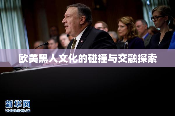 欧美黑人文化的碰撞与交融探索