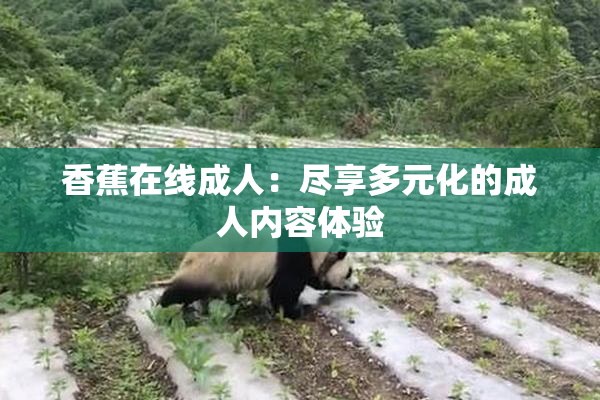 香蕉在线成人：尽享多元化的成人内容体验