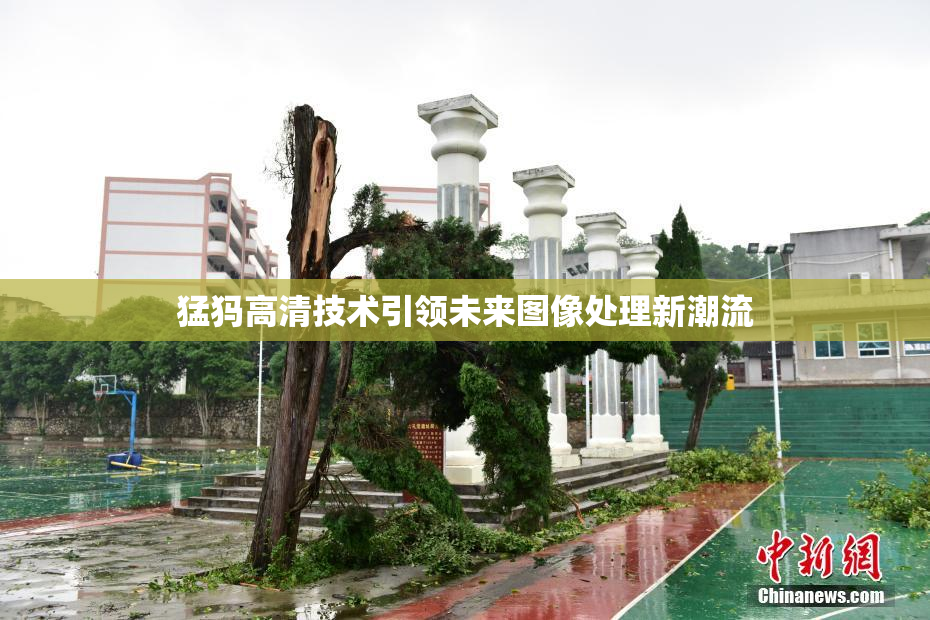 猛犸高清技术引领未来图像处理新潮流