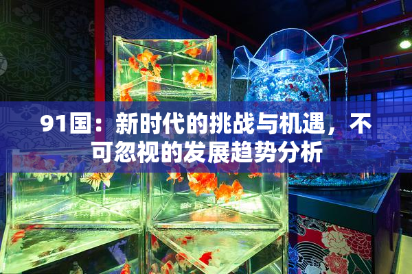 91国：新时代的挑战与机遇，不可忽视的发展趋势分析