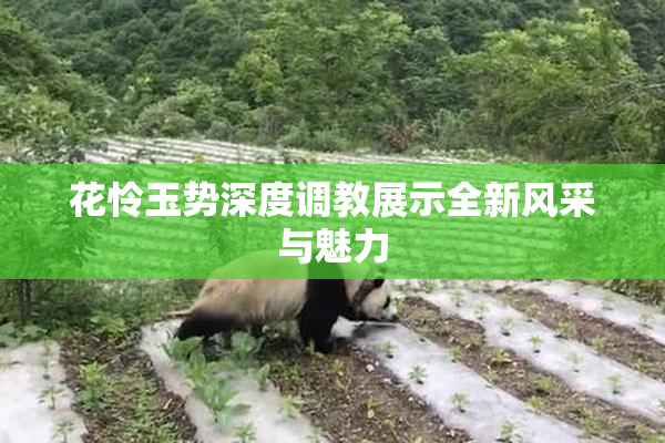 花怜玉势深度调教展示全新风采与魅力