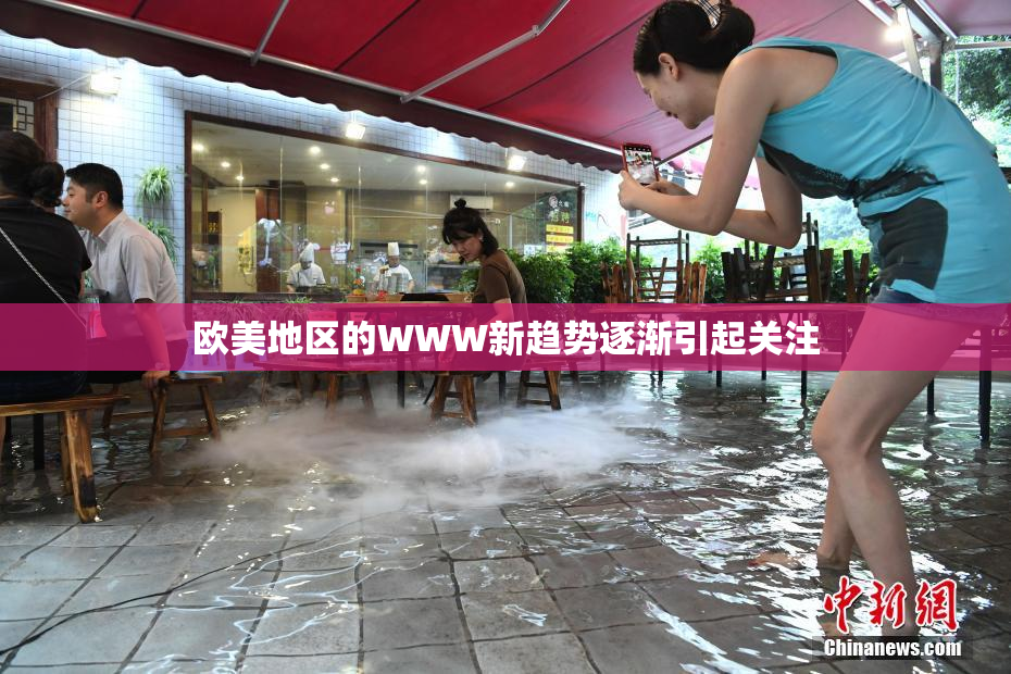 欧美地区的WWW新趋势逐渐引起关注