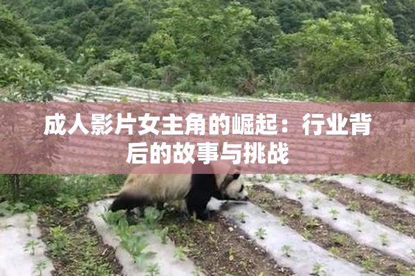 成人影片女主角的崛起：行业背后的故事与挑战
