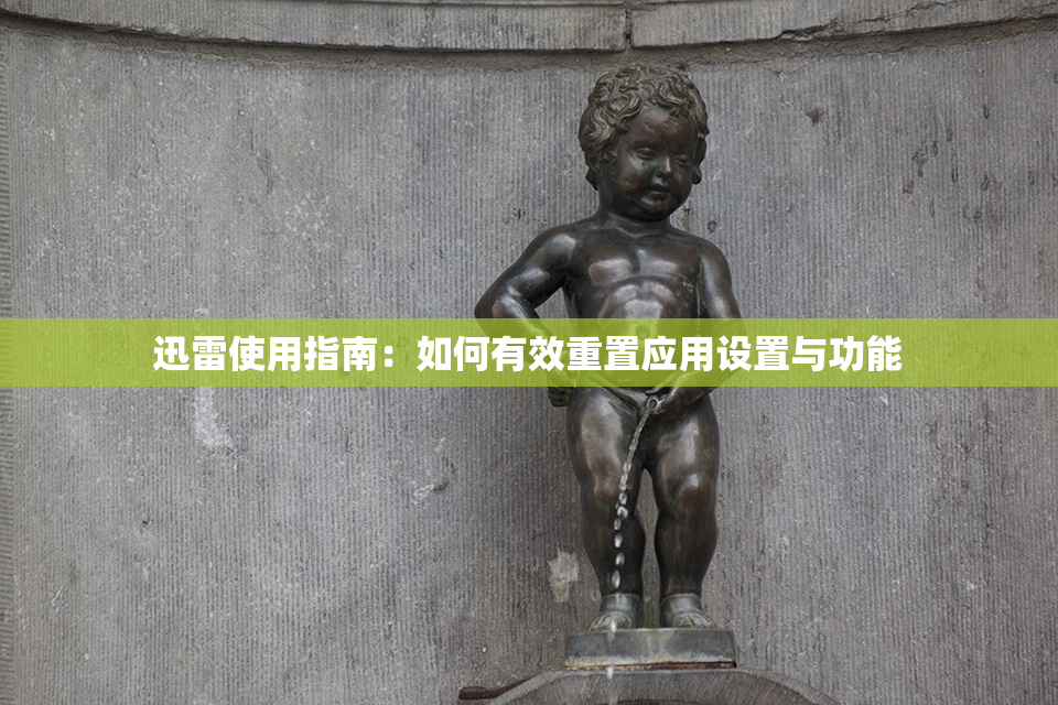 迅雷使用指南：如何有效重置应用设置与功能