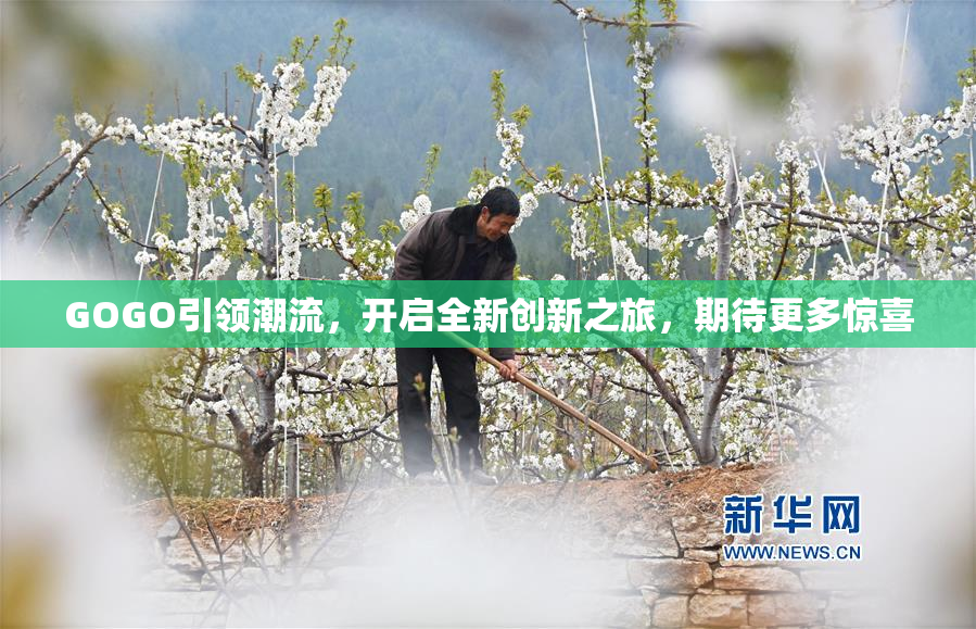 GOGO引领潮流，开启全新创新之旅，期待更多惊喜