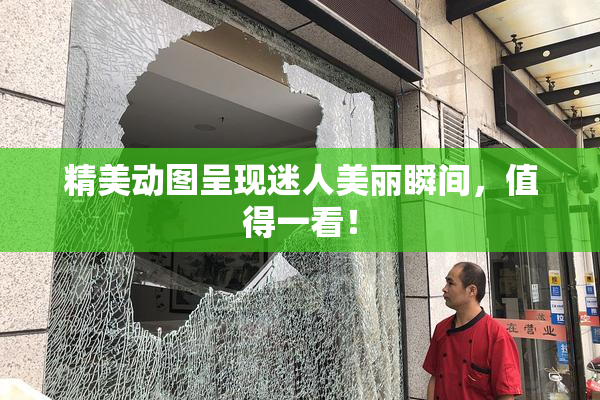 精美动图呈现迷人美丽瞬间，值得一看！