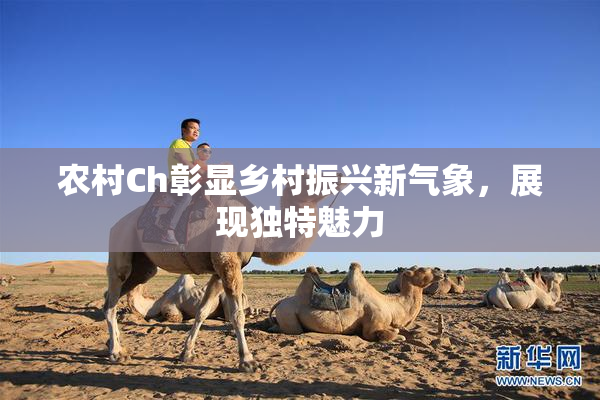 农村Ch彰显乡村振兴新气象，展现独特魅力