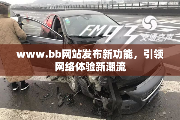 www.bb网站发布新功能，引领网络体验新潮流