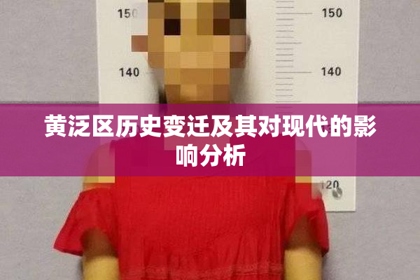 黄泛区历史变迁及其对现代的影响分析