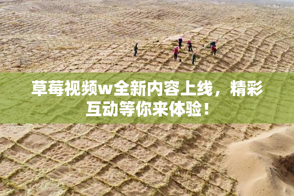 草莓视频w全新内容上线，精彩互动等你来体验！