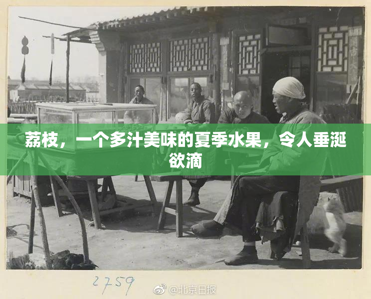 荔枝，一个多汁美味的夏季水果，令人垂涎欲滴