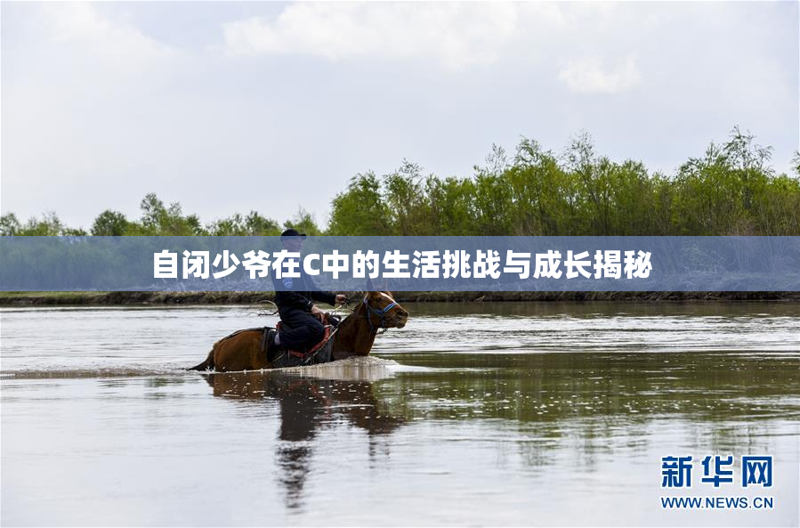 自闭少爷在C中的生活挑战与成长揭秘