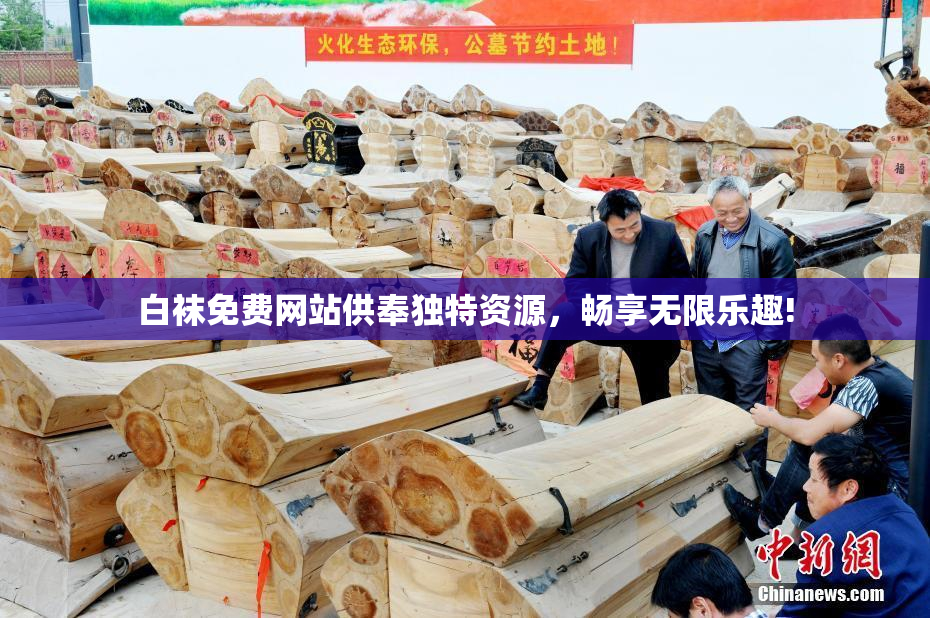 白袜免费网站供奉独特资源，畅享无限乐趣!