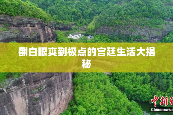 翻白眼爽到极点的宫廷生活大揭秘