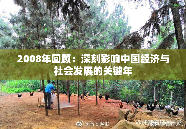 2008年回顾：深刻影响中国经济与社会发展的关键年